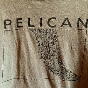 Pelican—Nighttime Stories T-Shirt